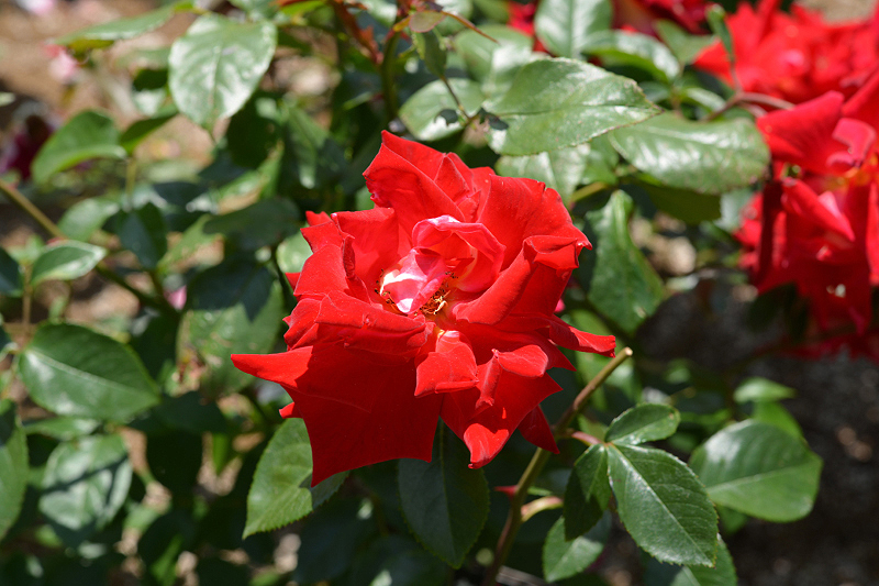 image0191