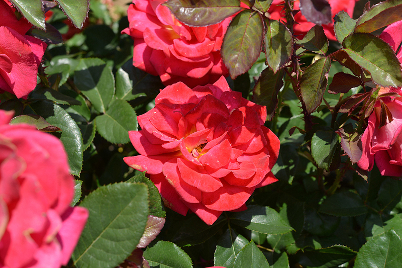 image0201