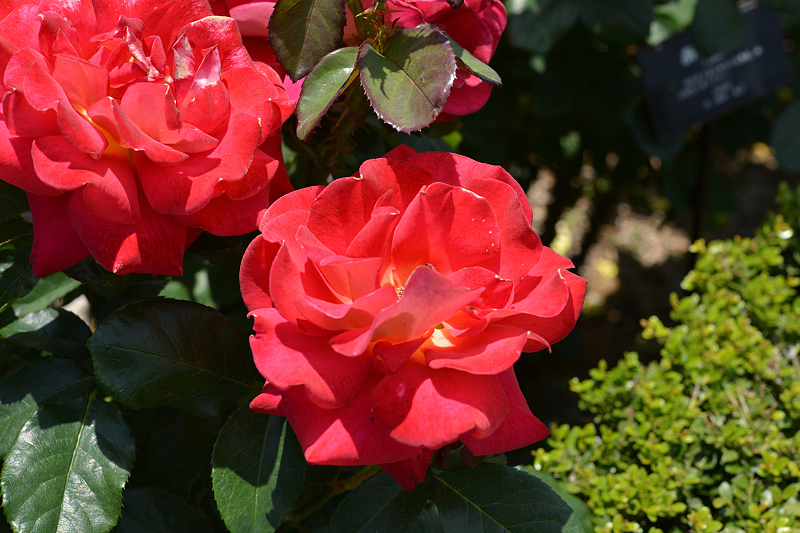 image0202