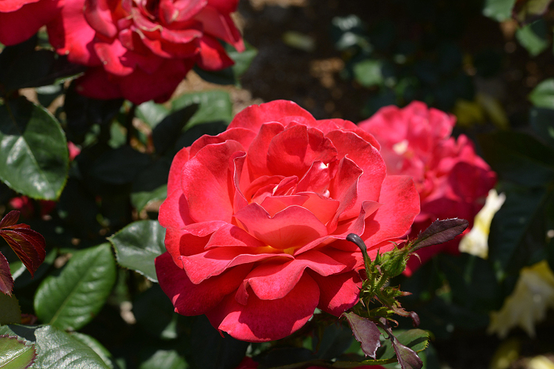 image0203