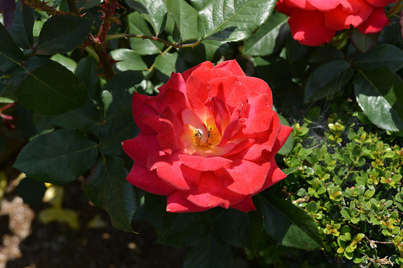 image0204