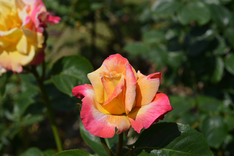 image0206