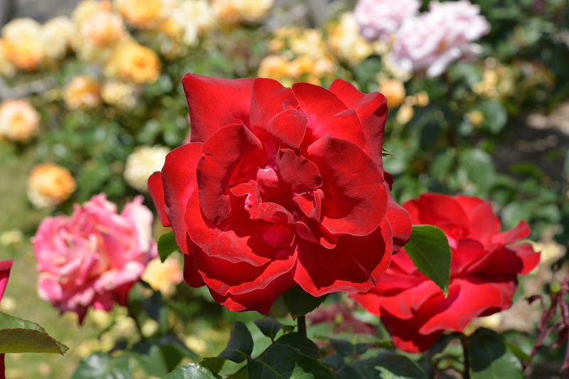 image0211