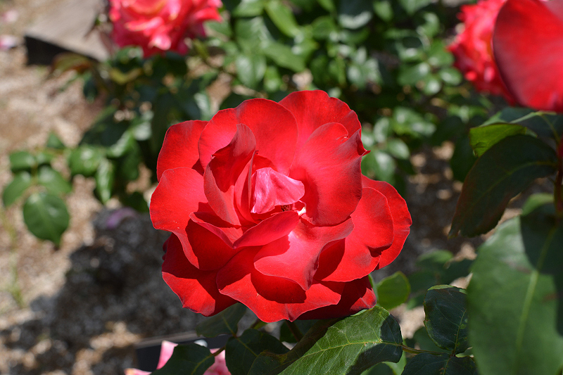 image0213
