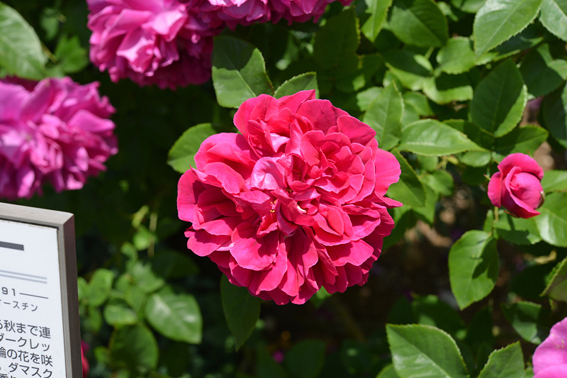 image0217