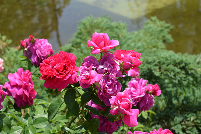 image0219