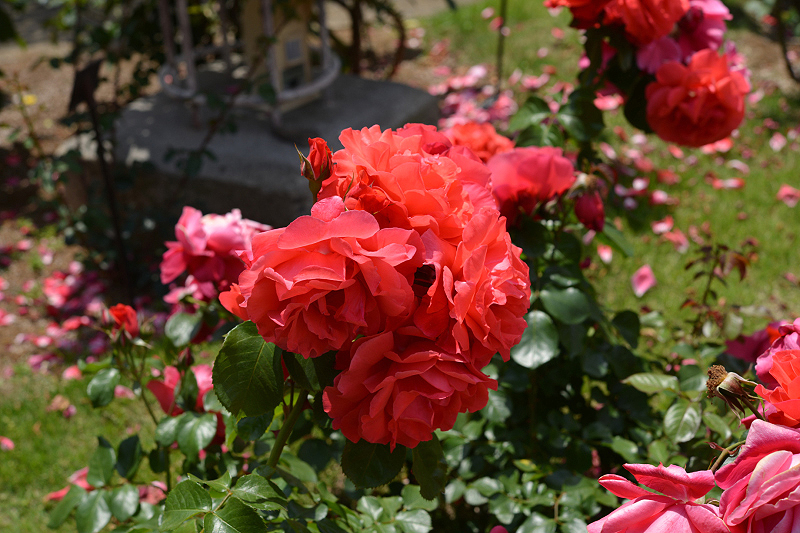 image0227