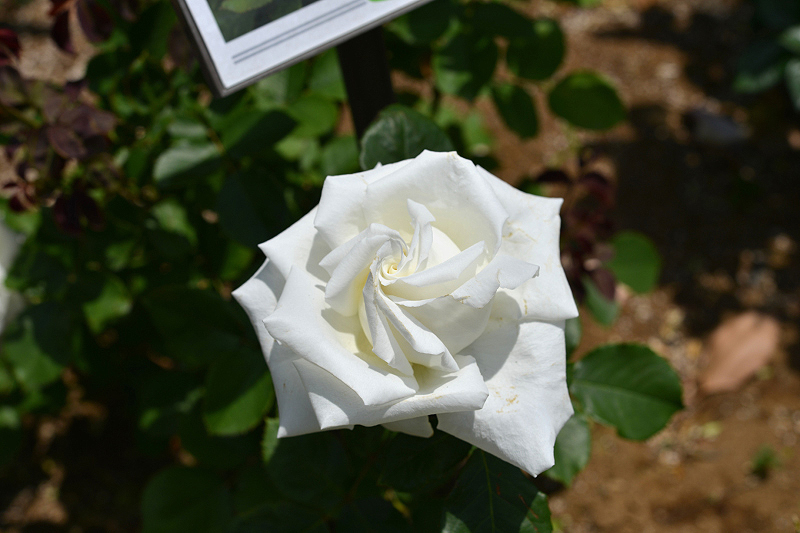 image0232
