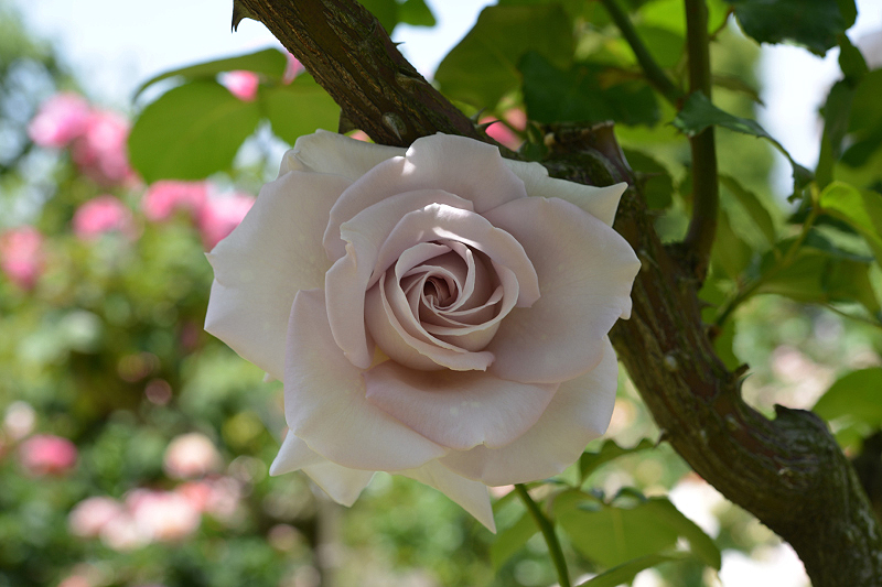 image0254