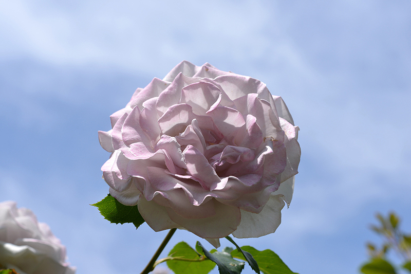 image0255