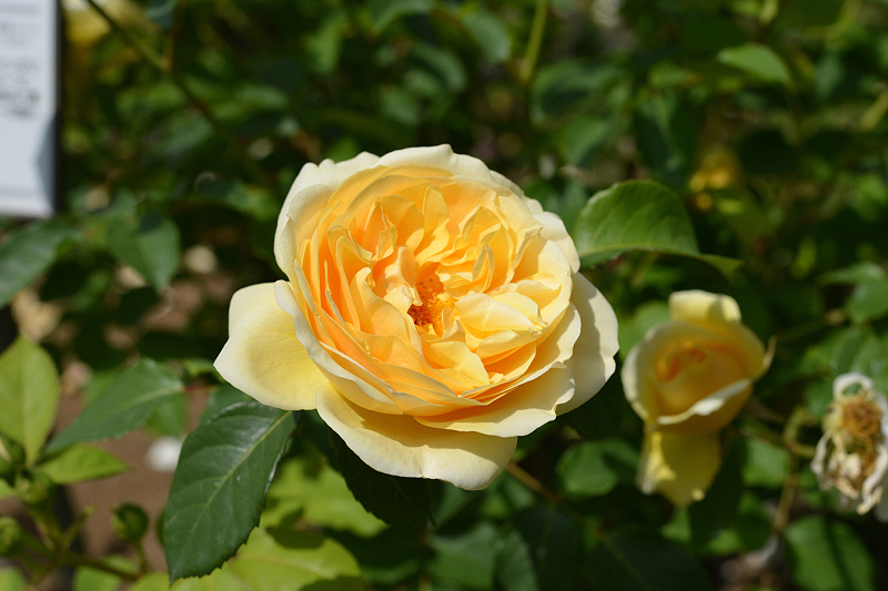 image0256
