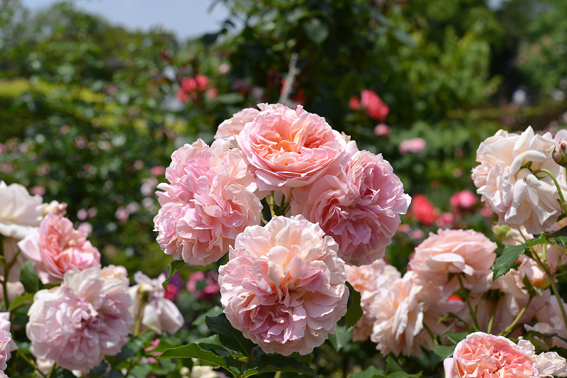 image0257