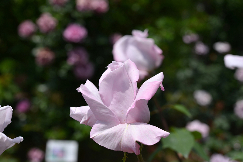 image0269
