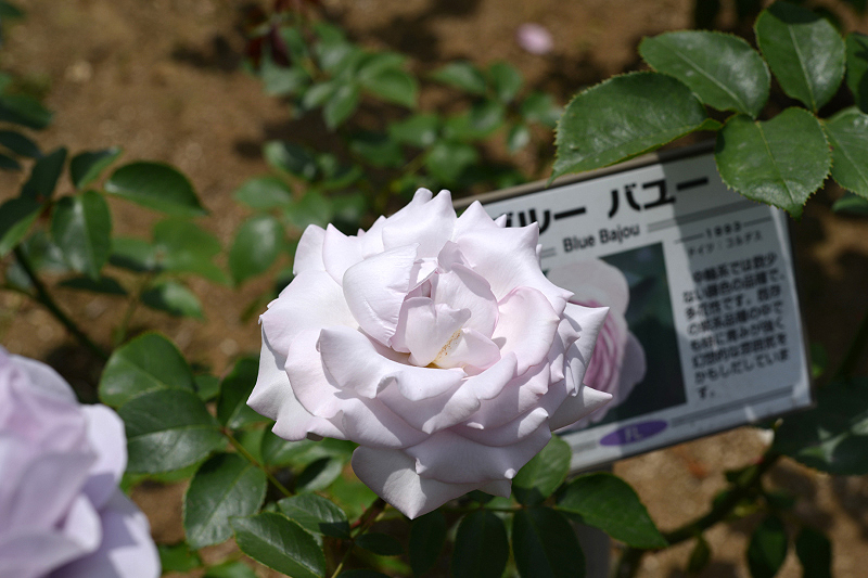 image0283