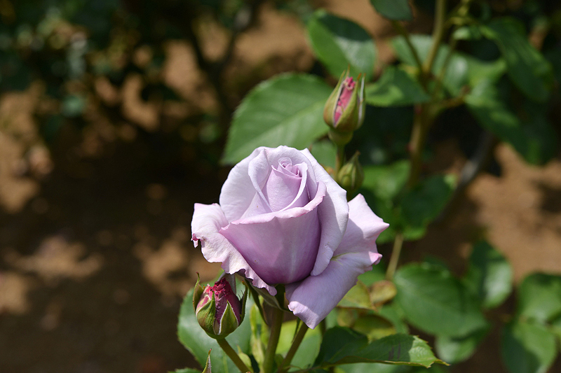 image0289