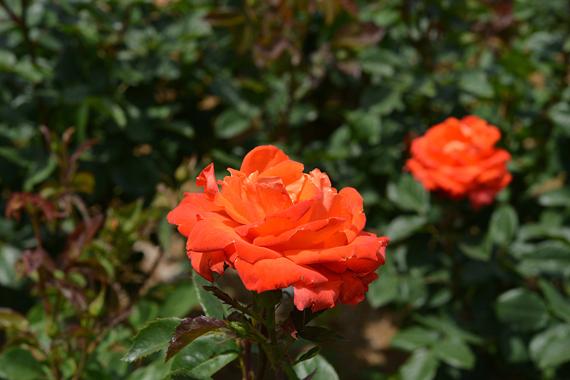 image0301