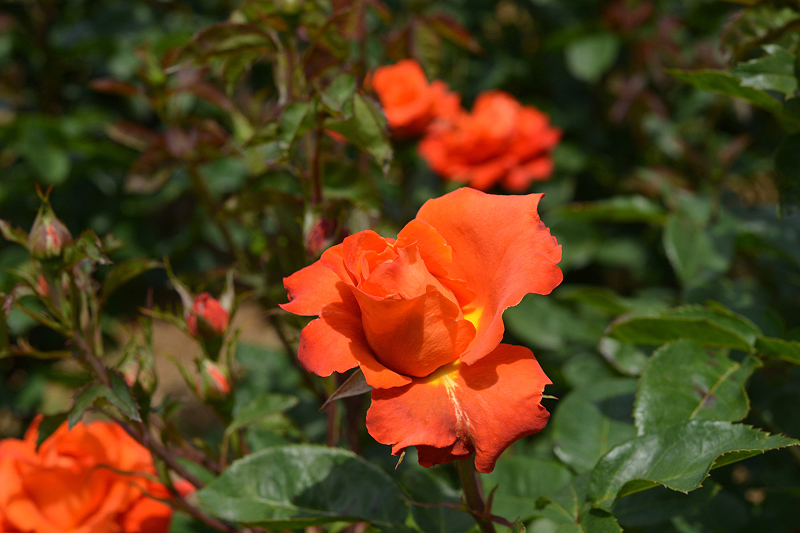 image0304