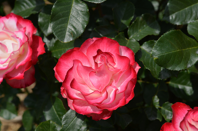 image0311