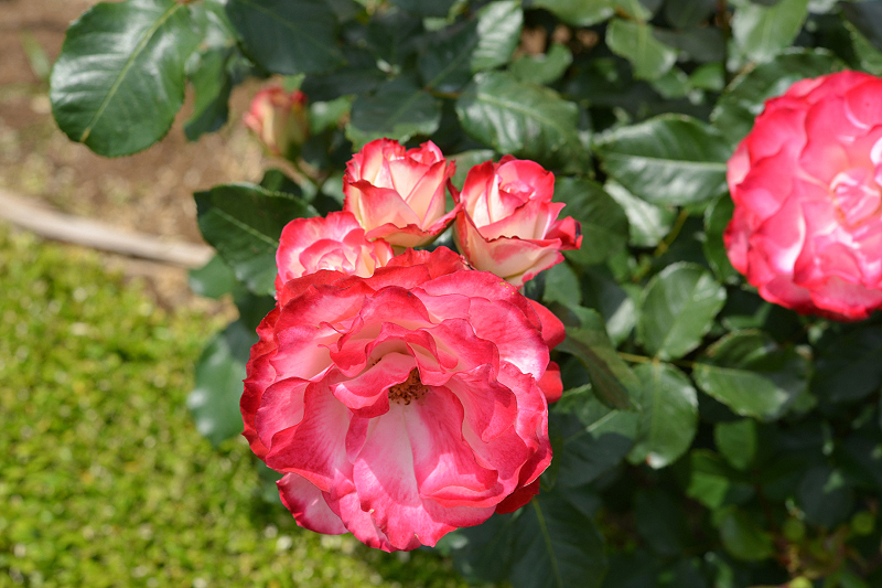 image0314