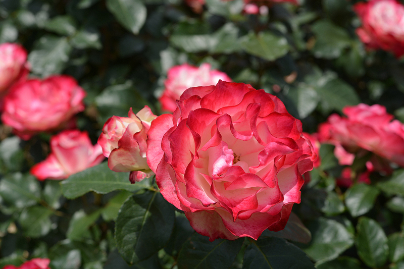 image0315