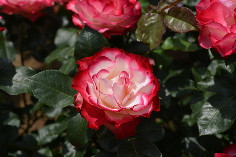 image0317