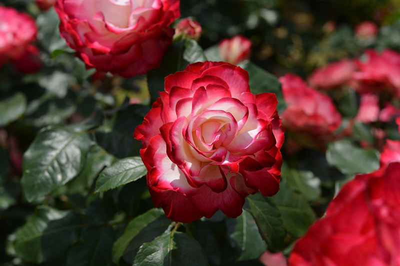 image0318