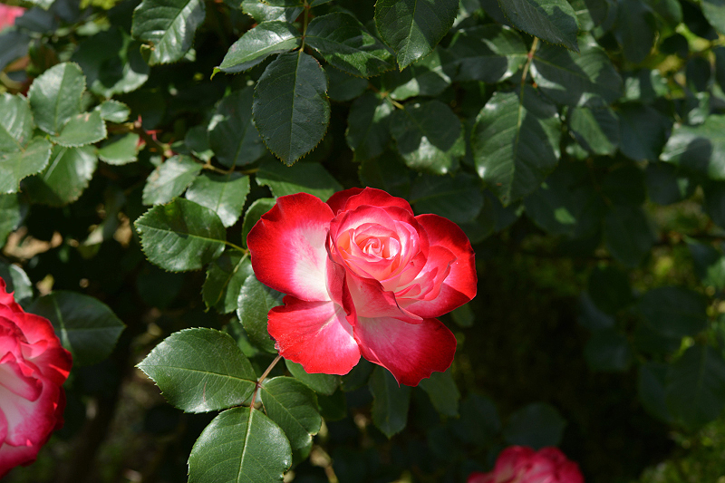 image0319