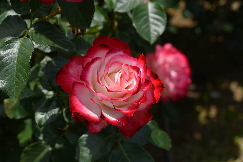 image0320