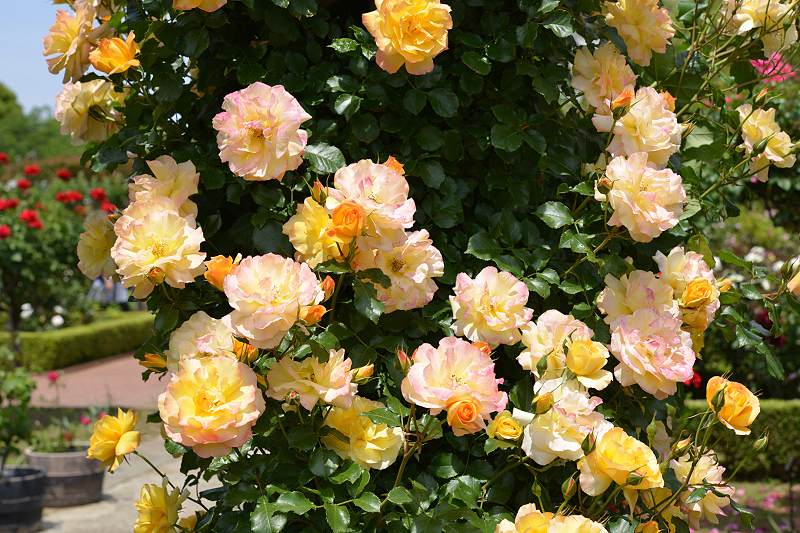 image0322
