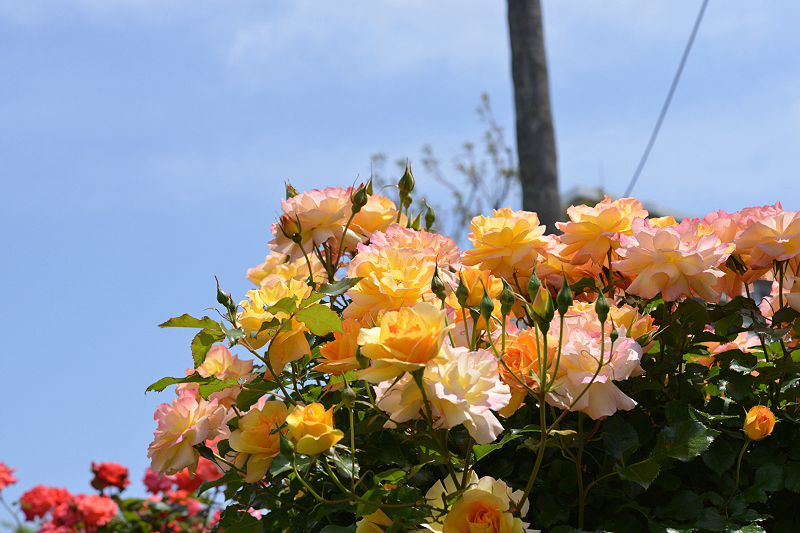 image0324