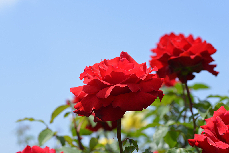 image0325