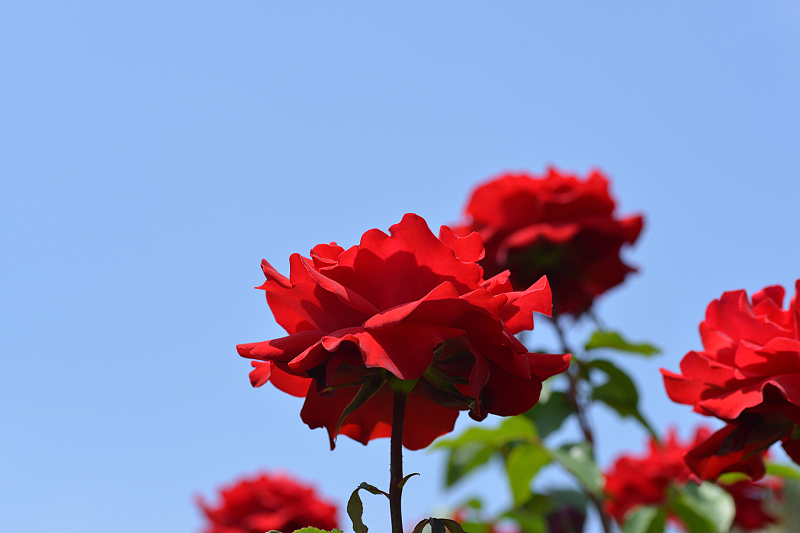 image0326