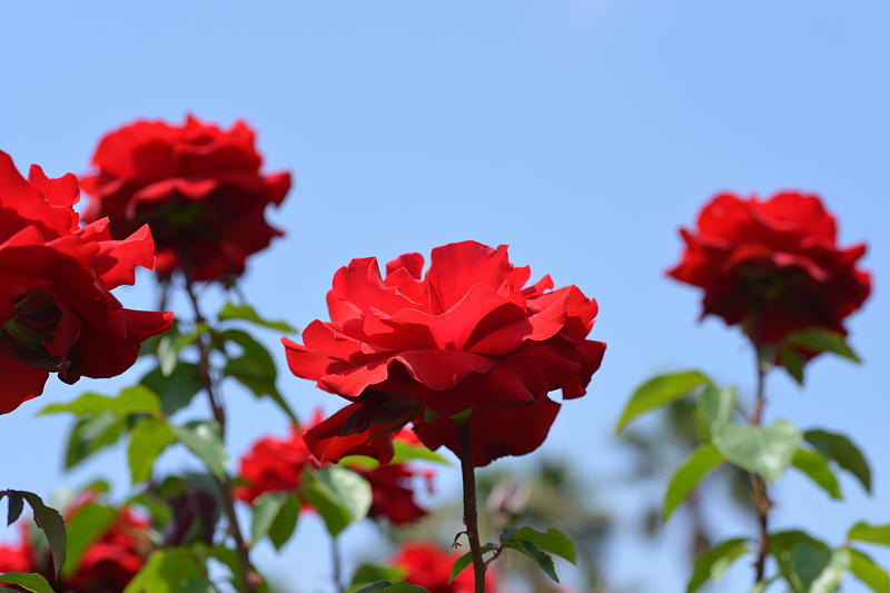 image0327