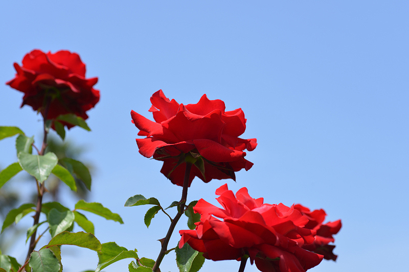 image0328