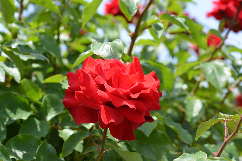 image0329