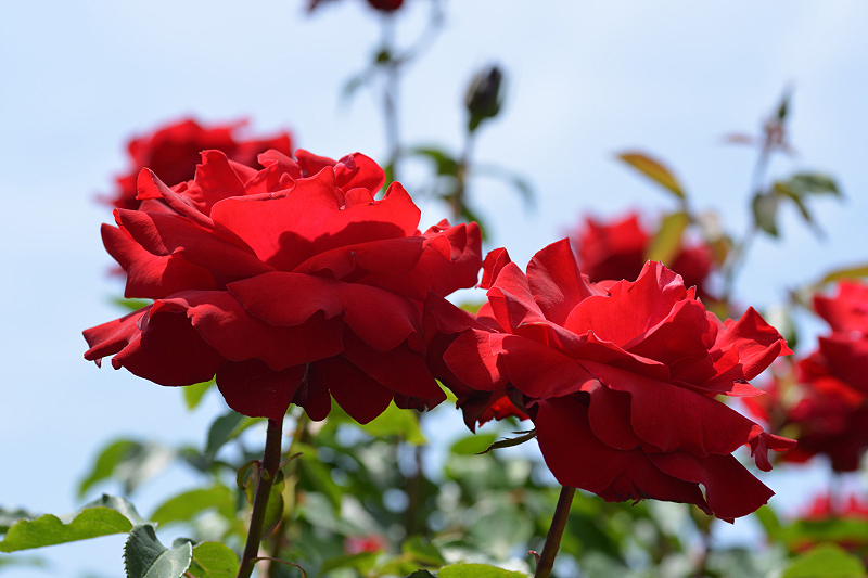 image0330