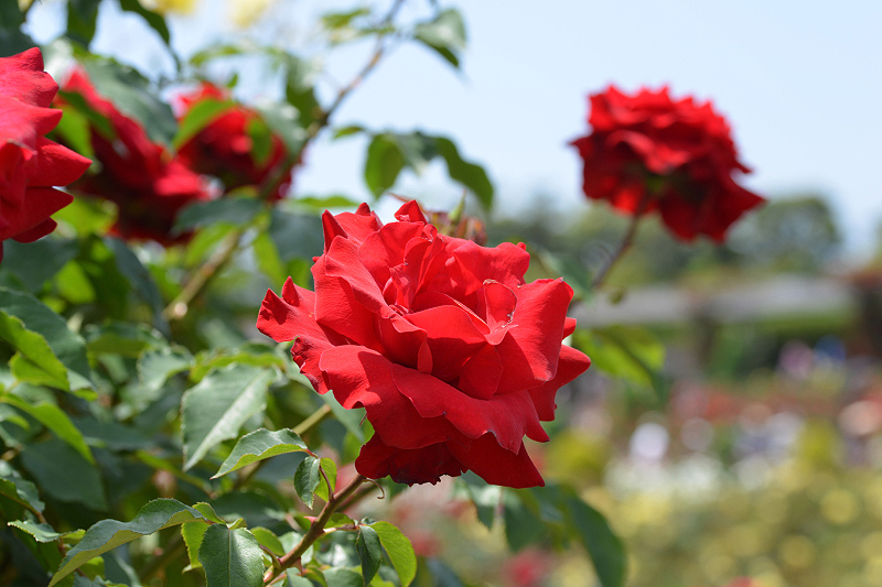 image0331
