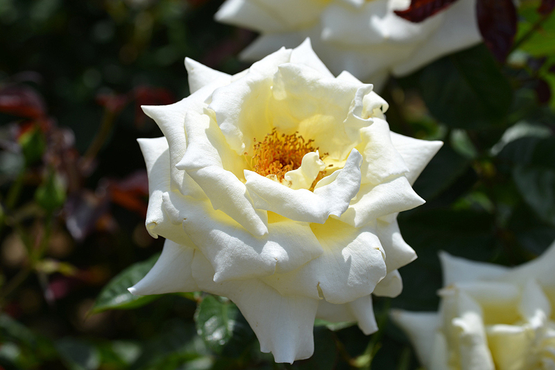 image0332