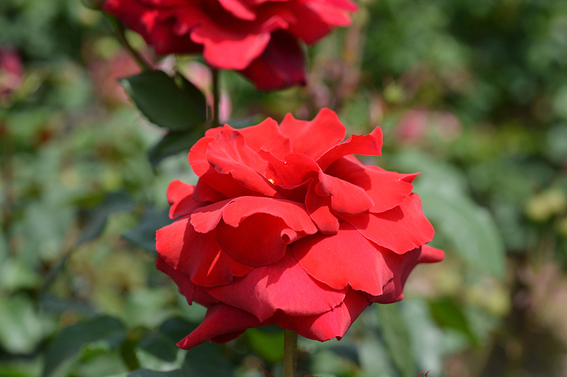 image0338