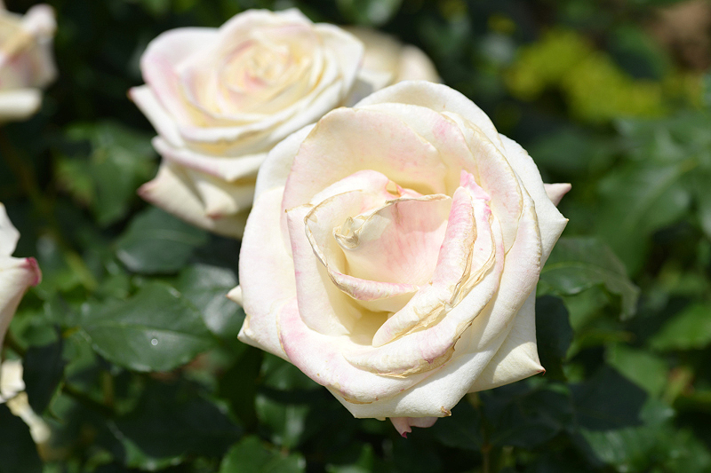 image0340