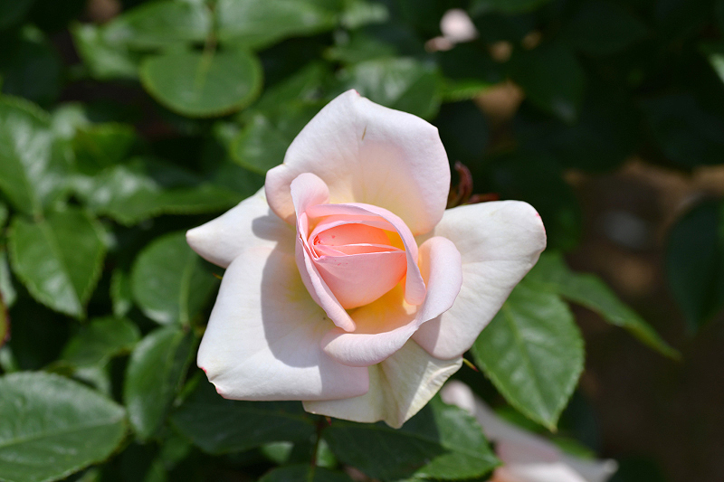 image0343