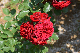 image0168