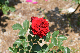 image0170