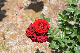 image0171