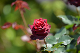 image0172