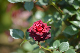 image0173
