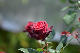 image0174