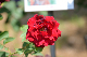 image0176