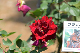 image0177