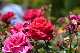 image0178